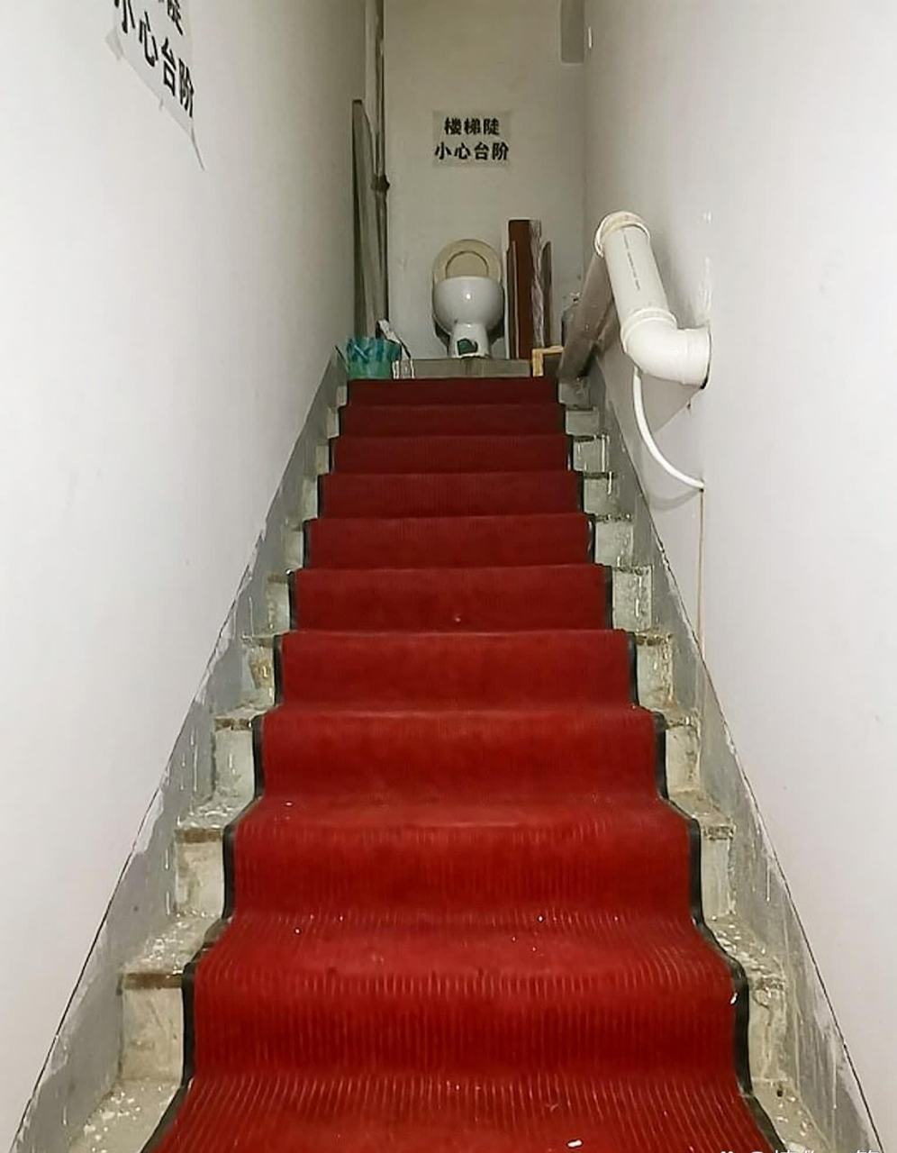 网友:这个厕所有登基的感觉吗?  #百家号火火计划#[抠鼻]