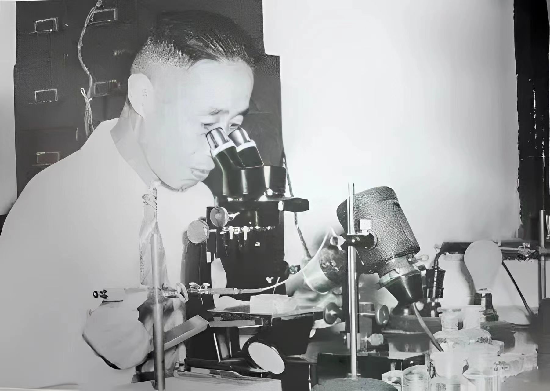 童第周是一位伟大的生物学家,他为了祖国的科学事业,放弃了国外的优厚