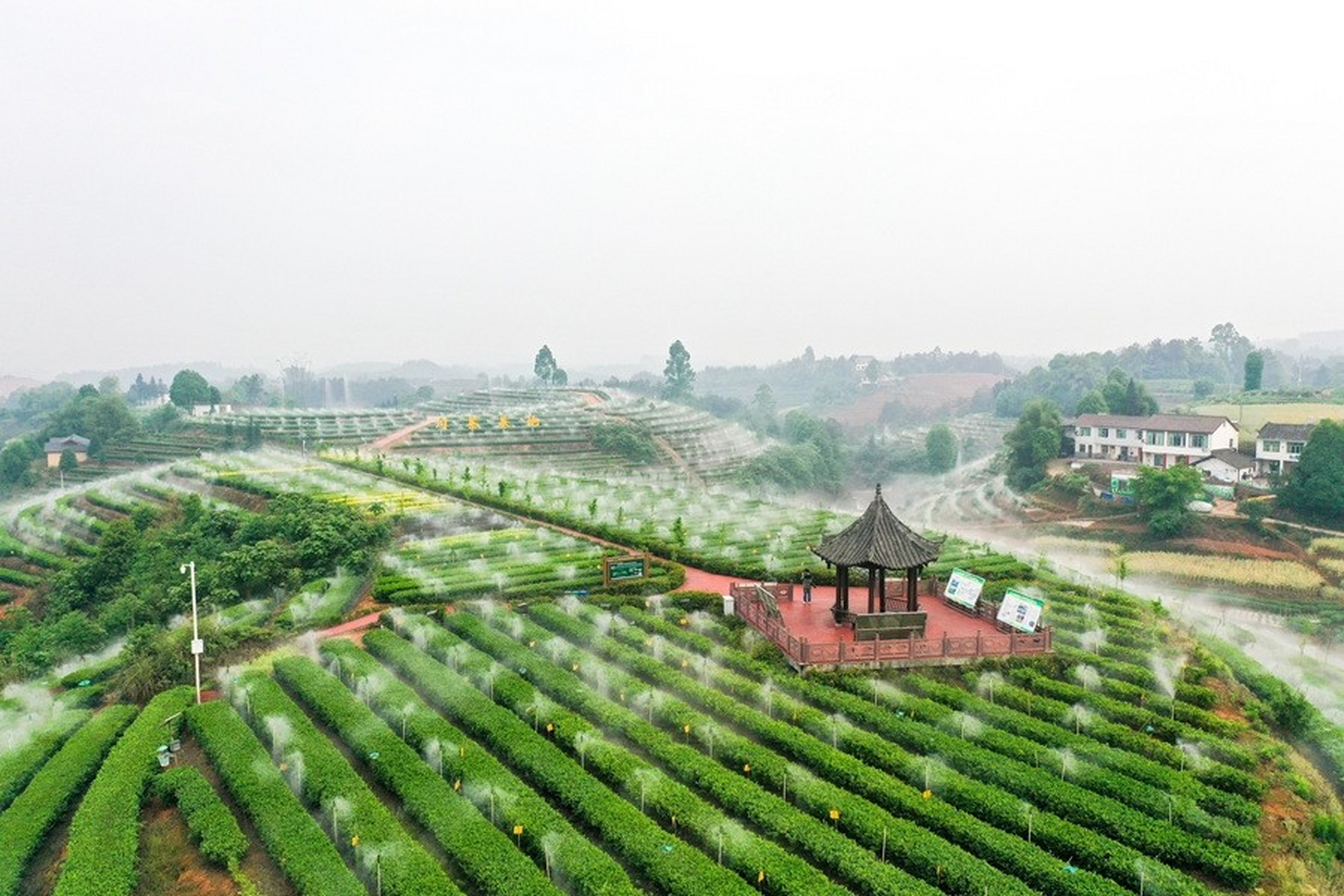 宜宾茶园牧歌景区:位于宜宾市翠屏区明威镇燕山社区,这里有四个超赞的