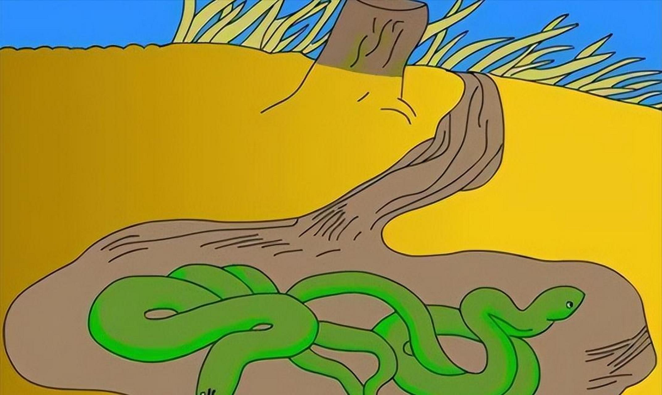 为什么看见"毒蛇出洞"很可怕?