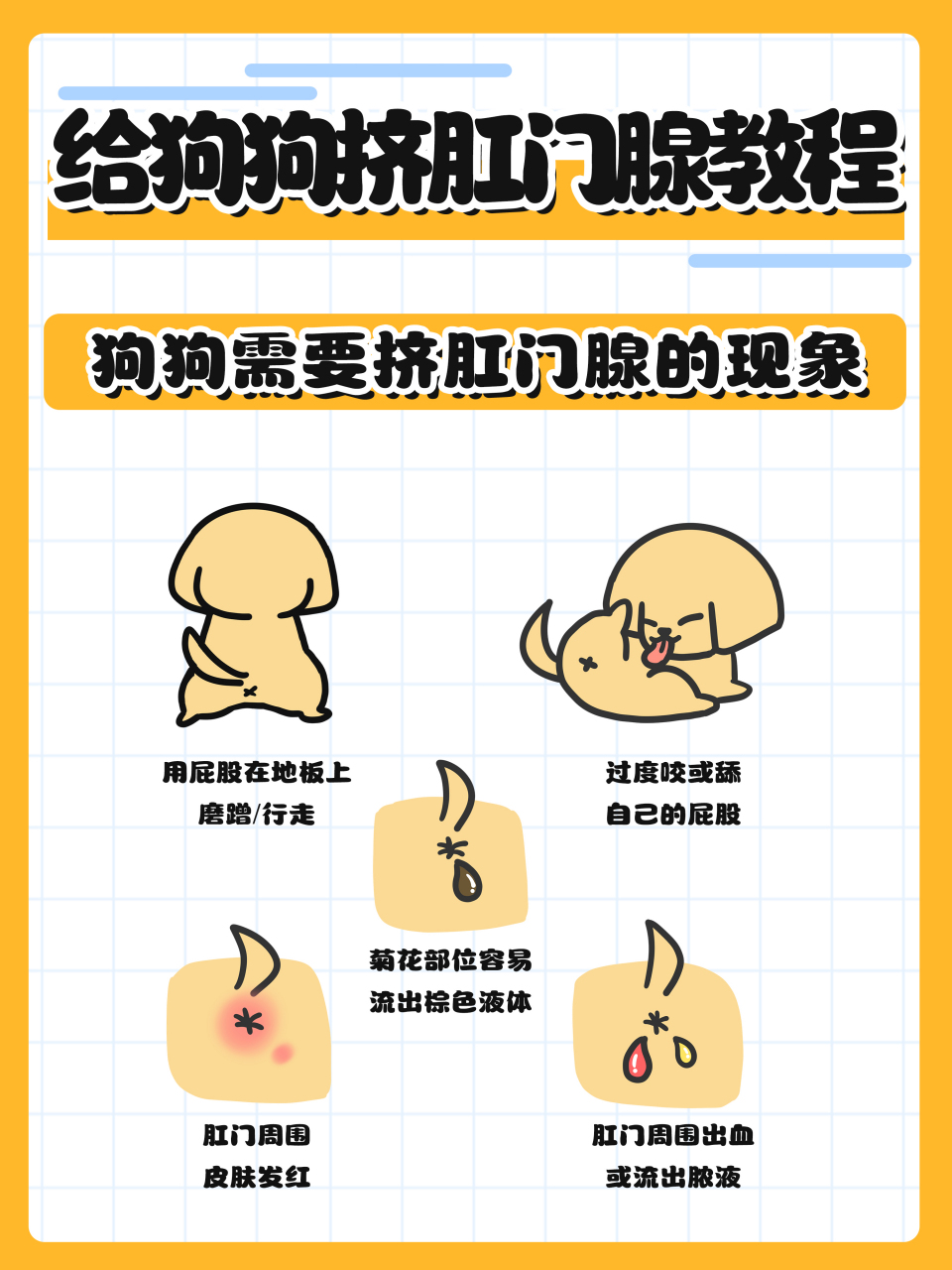 如何帮狗狗挤肛门腺?