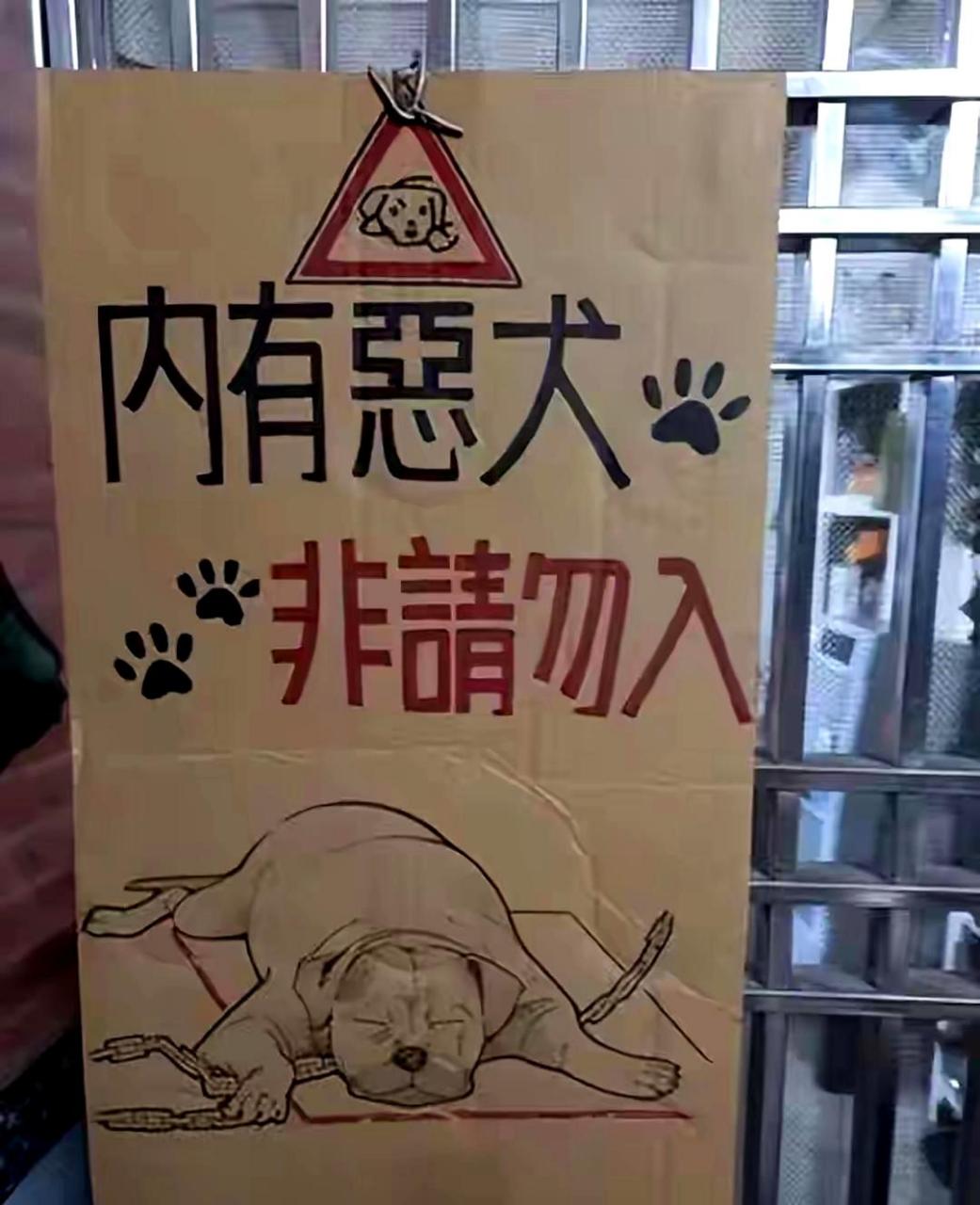 请勿进入,恶犬在此,本尊躺地上憨睡,肉肉溢出一大坨.