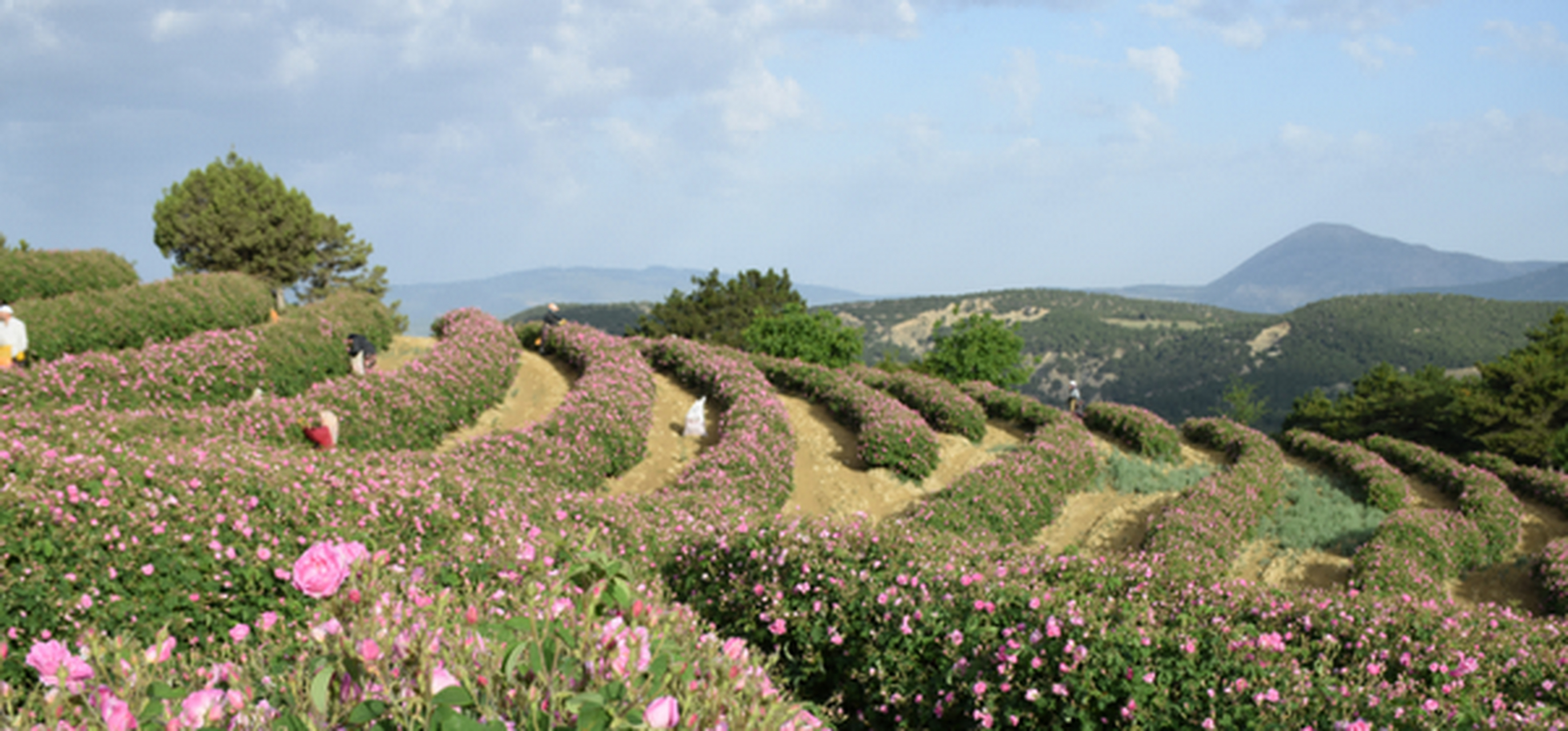 湖区位于土耳其的地中海盆地,以其令人印象深刻的景观,丰富的含氧自然