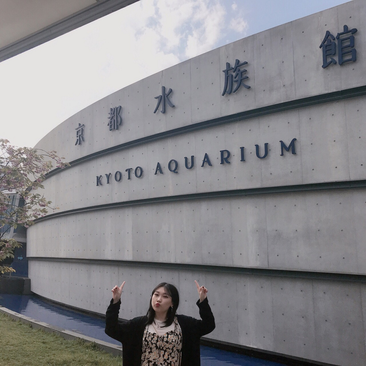 日本之旅 | 京都水族馆 |  一直很想去水族馆,但是由于007的广告人