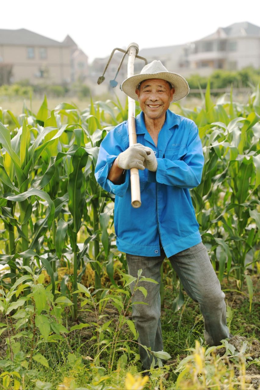 37℃高温农民伯伯顶着烈日劳作/致敬劳动者  人文纪实  每一刻的弯腰 