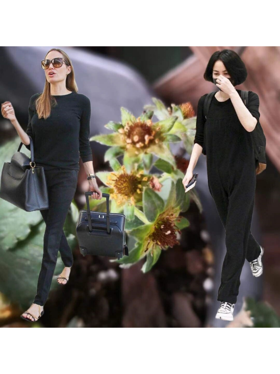 jolie的街拍风采  据估计,王菲和angelina jolie的身高和体重相当,都