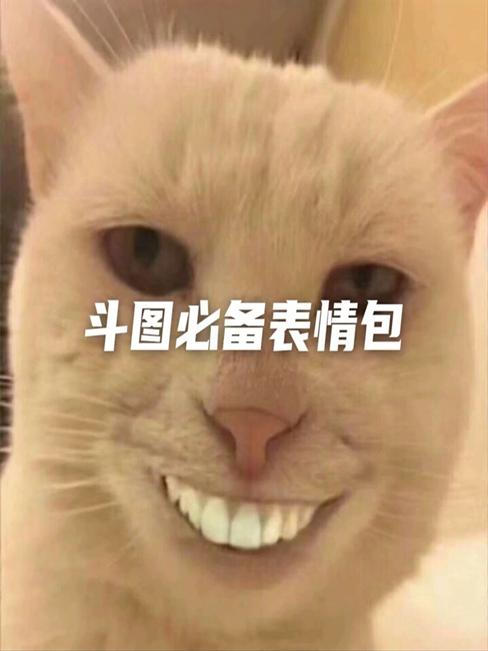 "女孩子啊,她们总是那么含蓄,除非爱到极致,才会放下