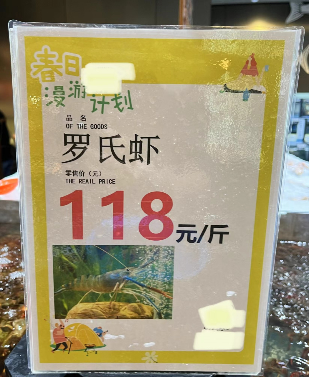 这是我这边罗氏虾的价格,你那边多少钱一斤呢?