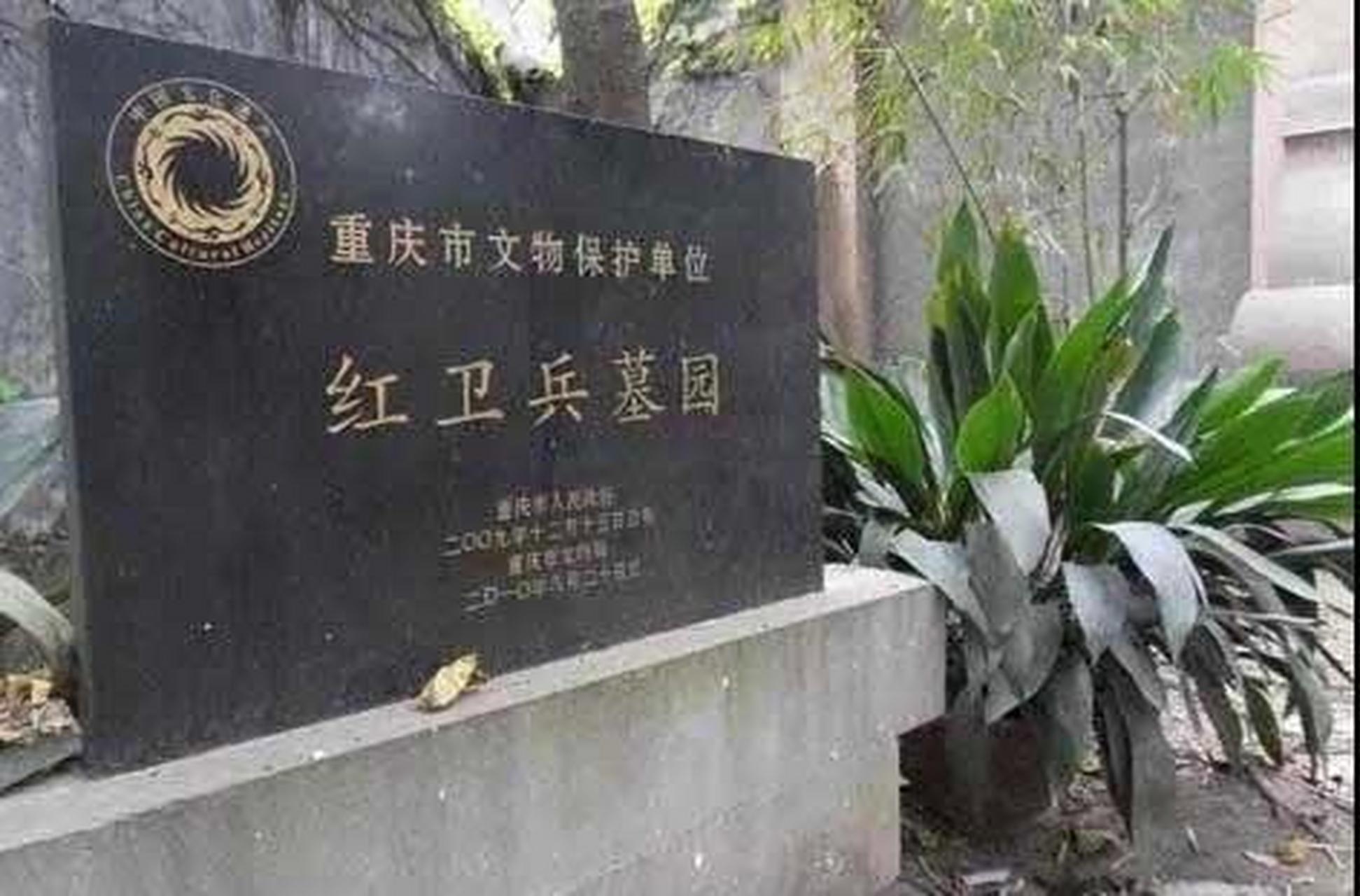 全国最大一场武斗是1967年7—8月间在重庆发生的杨家坪武斗,出动军舰