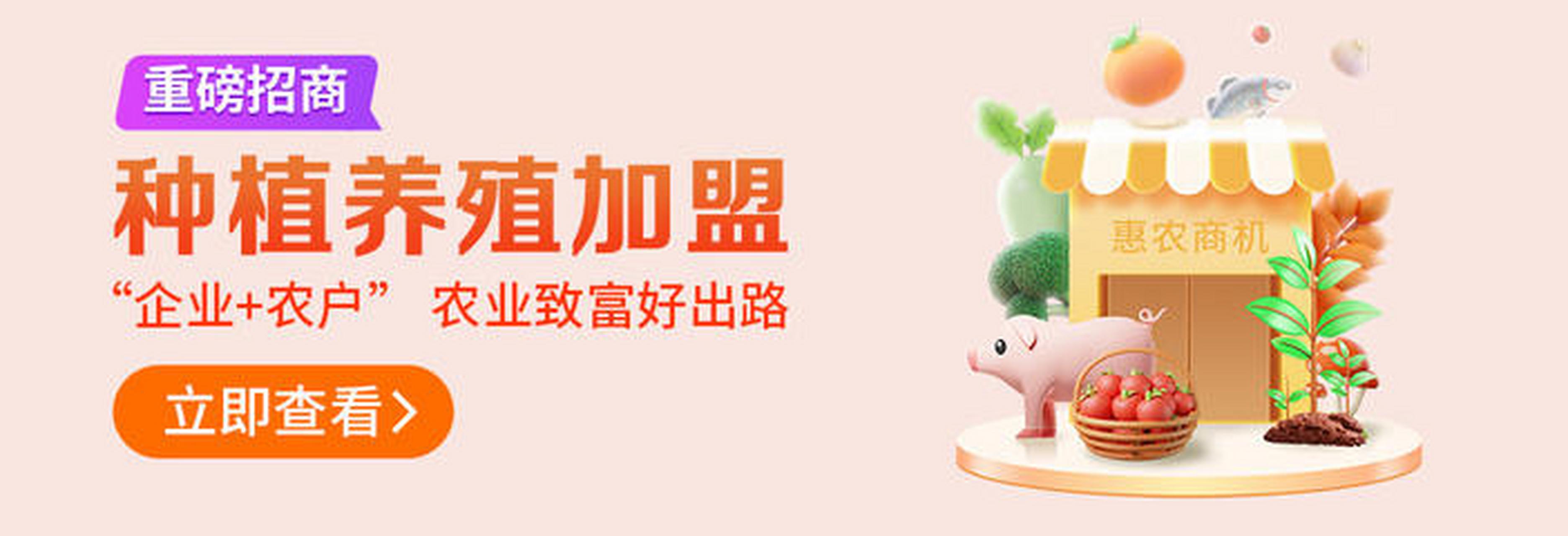 今年免费的致富加盟项目(今年免费的致富加盟项目有哪些)
