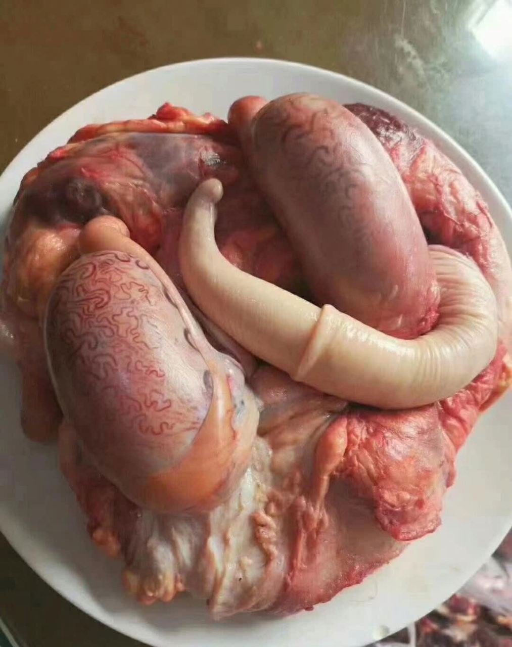 网友:原来这就是传说中的牦牛,牛三宝[抠鼻]