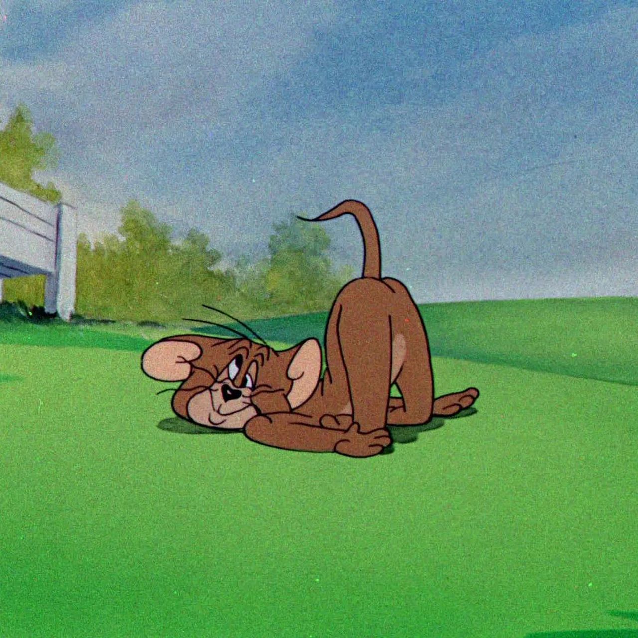 猫和老鼠头像  "那就做野花随风起永不散"#宝藏作者创作企划3