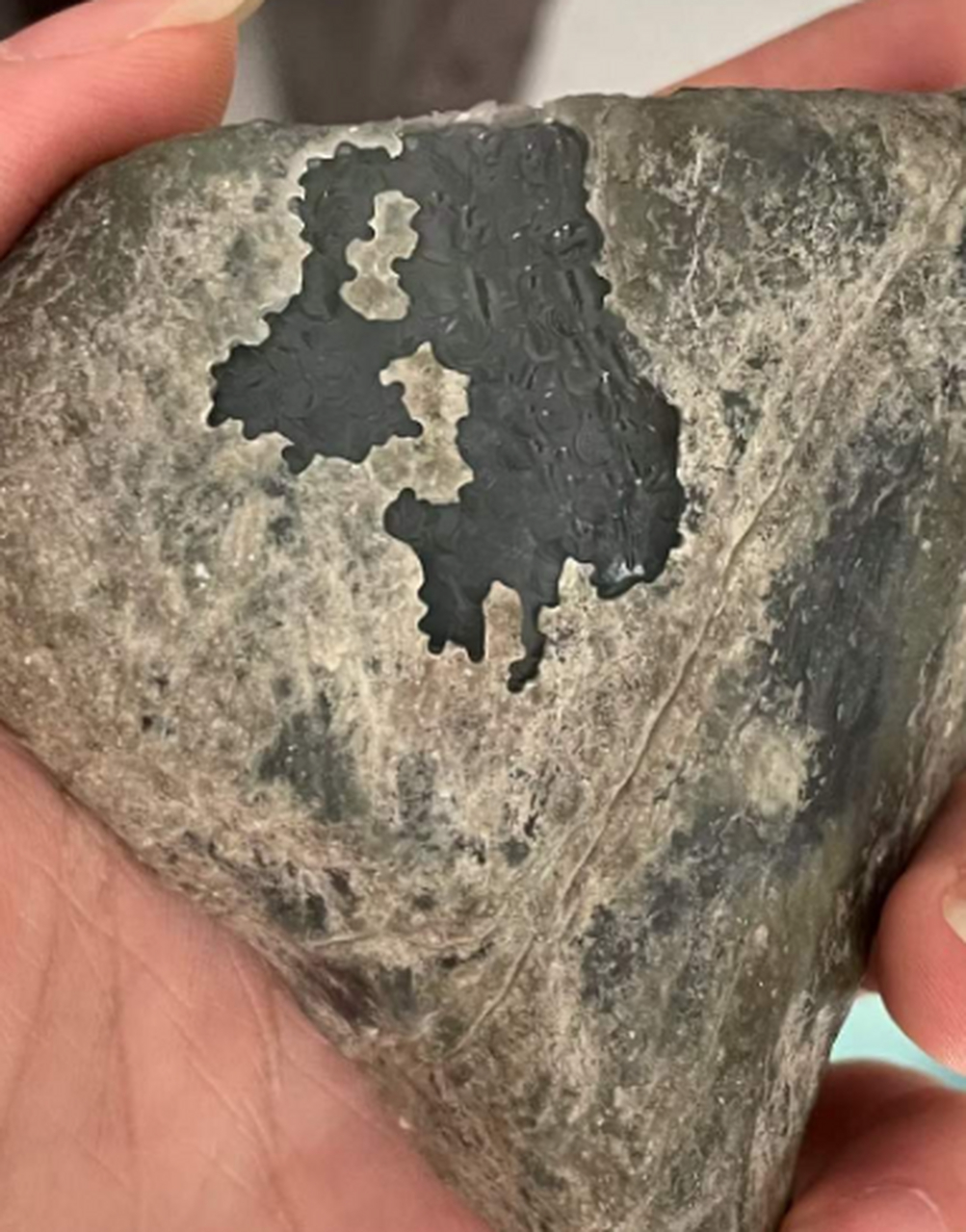 点击头像看直播##翡翠原石#莫西沙开窗高冰种飘花牌子挂件戒面料