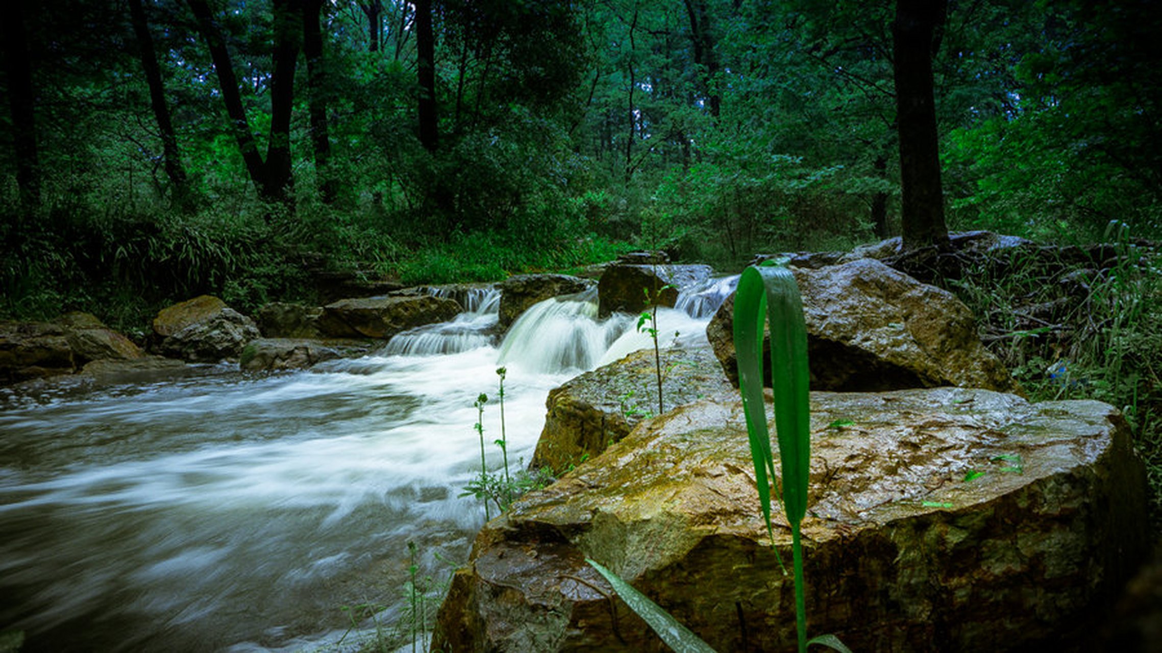 "身世悠悠我此行,溪边委辔听溪声.