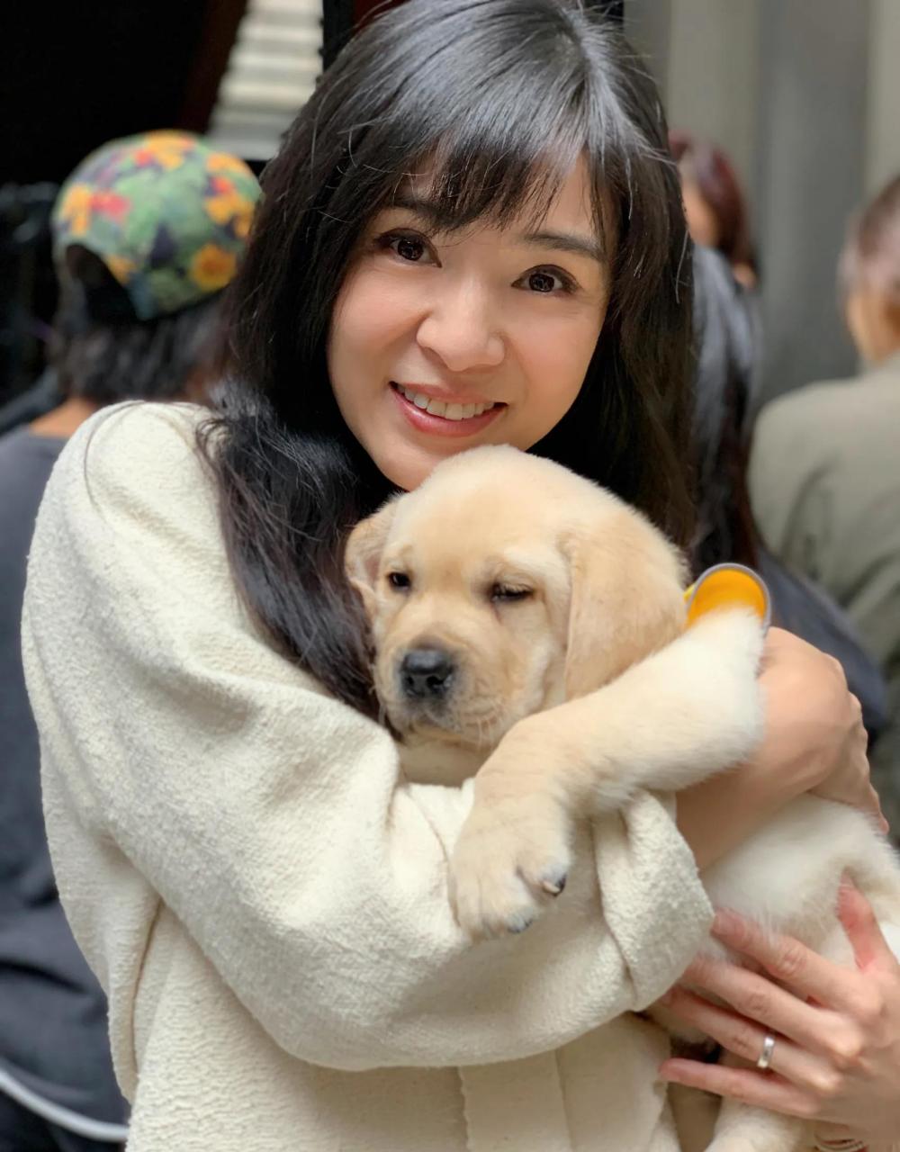 gif创作人# 吴奇隆前女友,一代玉女杨采妮都47岁了,还是那么清纯美丽