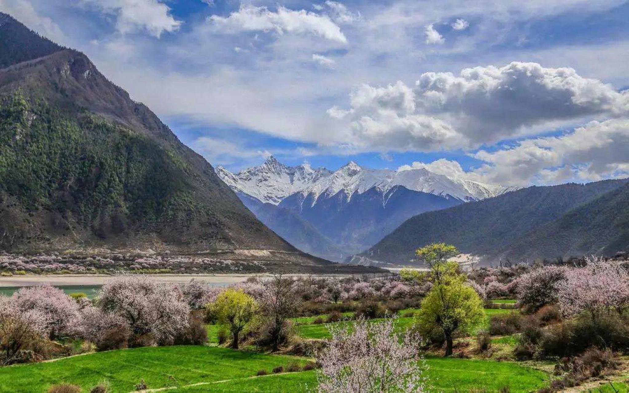 林芝历史古老,众多稀有植物和被完好保存的原始森林,使这里成了"天然