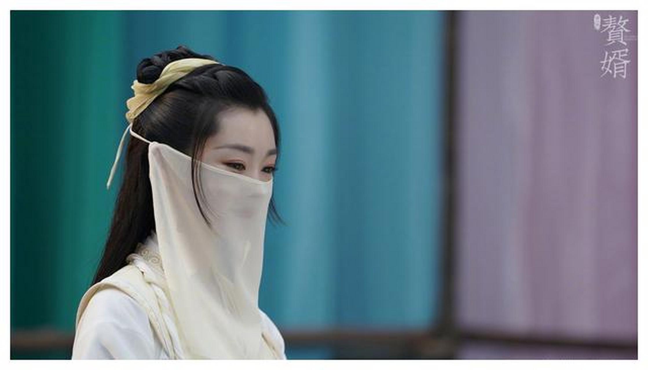 宋轶赘婿苏檀儿剧照写真