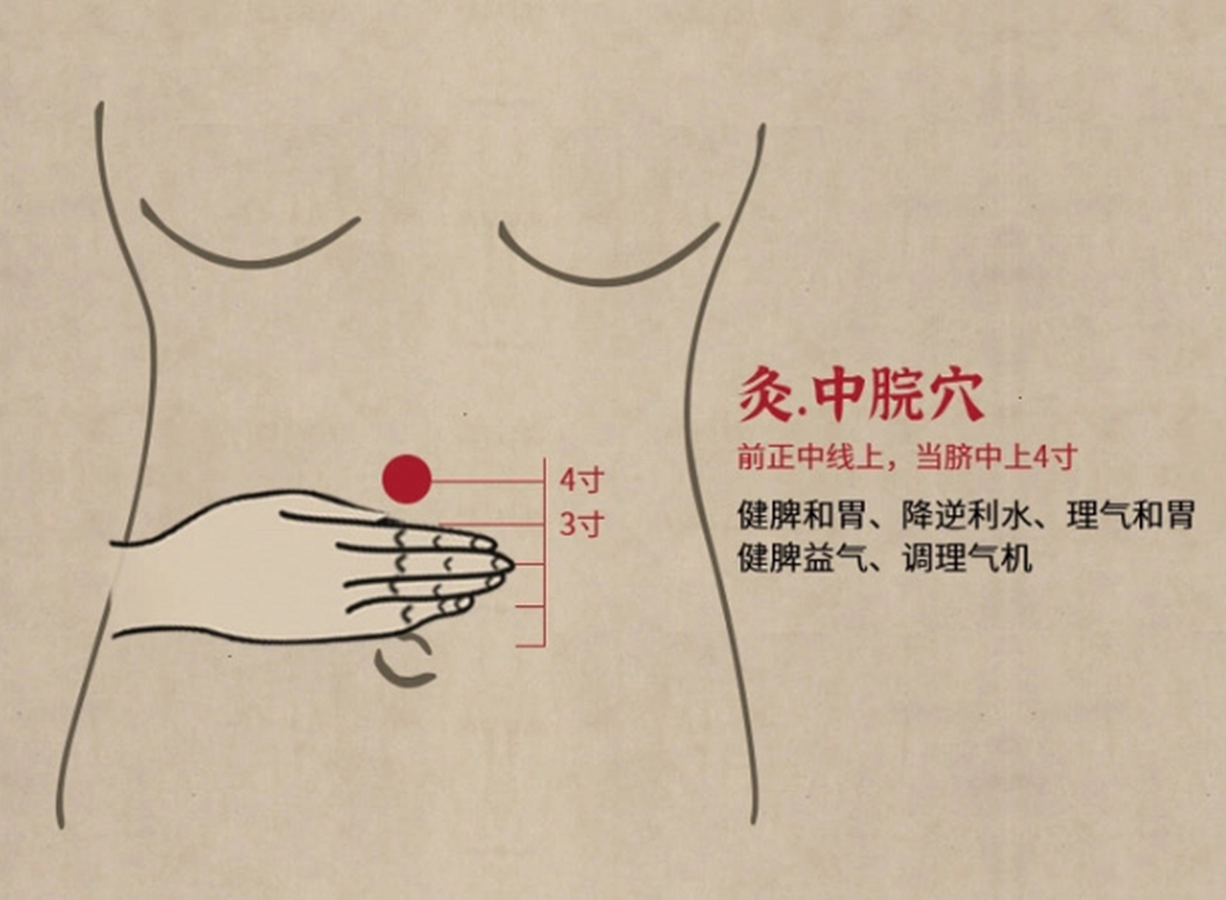 中脘穴属任脉,也是胃的募穴;中即中间,脘即胃脘,此穴当胃脘之中部,故