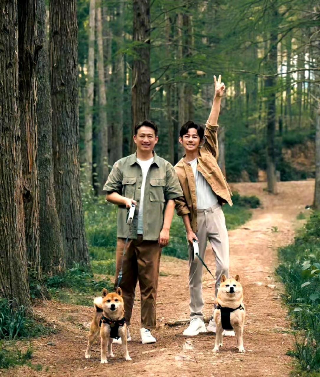 官方海报已发布,只有黄磊和何炅这两位元老嘉宾仍在坚守,年轻艺人每期