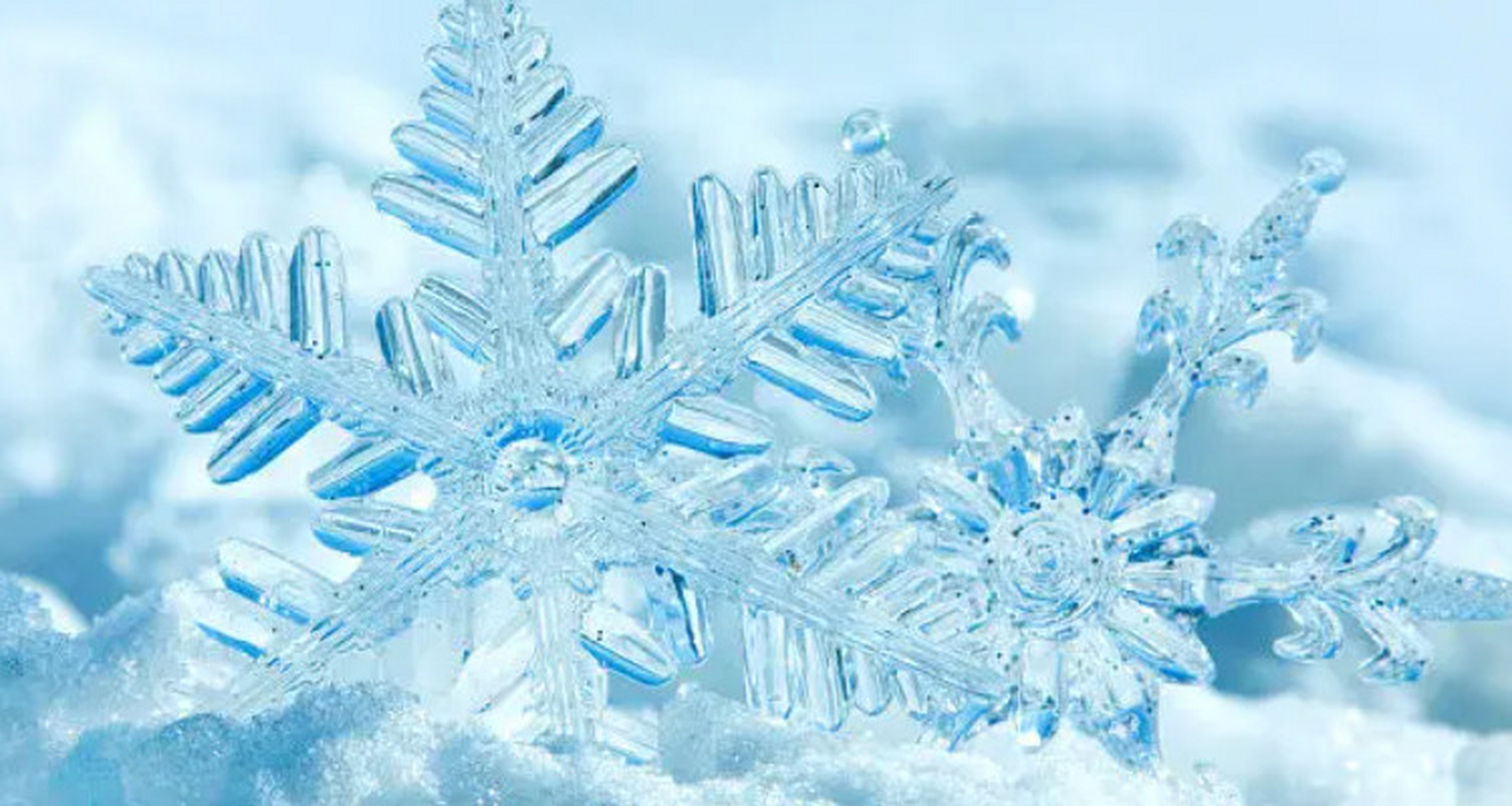 首先,冰花是由冰晶形成的.