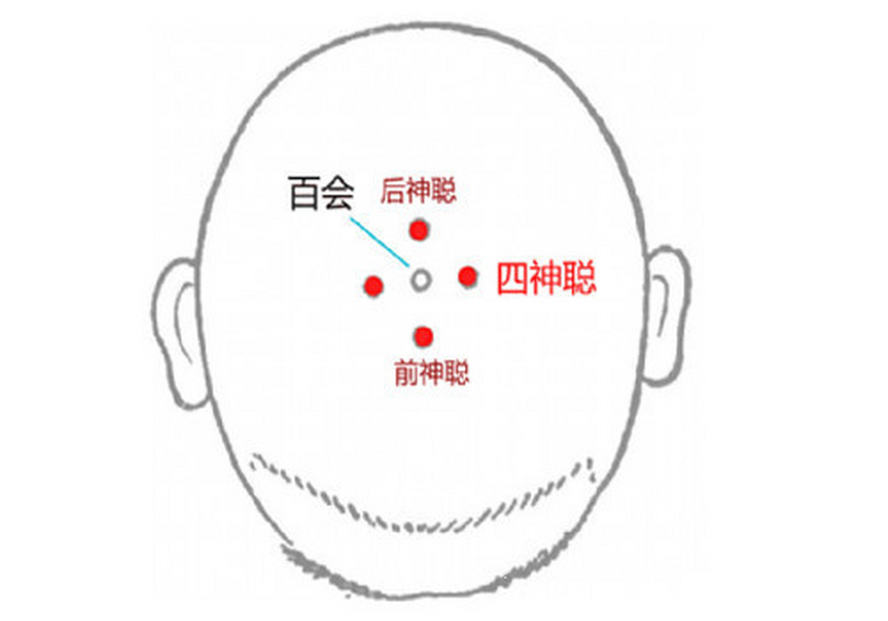 百会位置图片