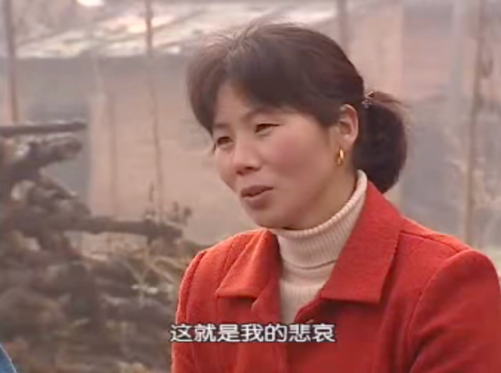 2001年,央视《半边天》栏目曾经采访过一名陕西农村妇女.