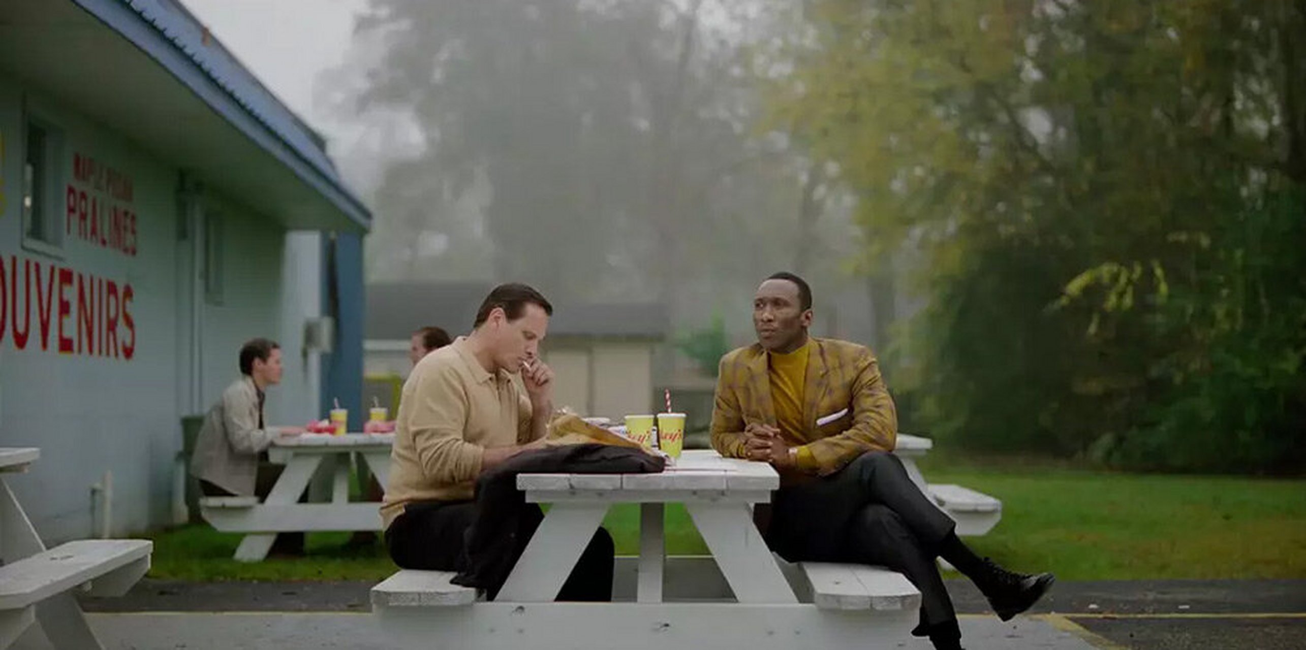 《绿皮书》是由彼得·法拉利和马赫沙拉·阿里主演的电影,由彼特