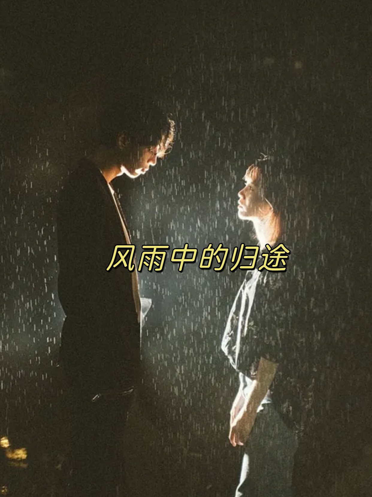 风雨中的归途 那是一个风雨交加的夜晚,我独自一人走在回家的路上