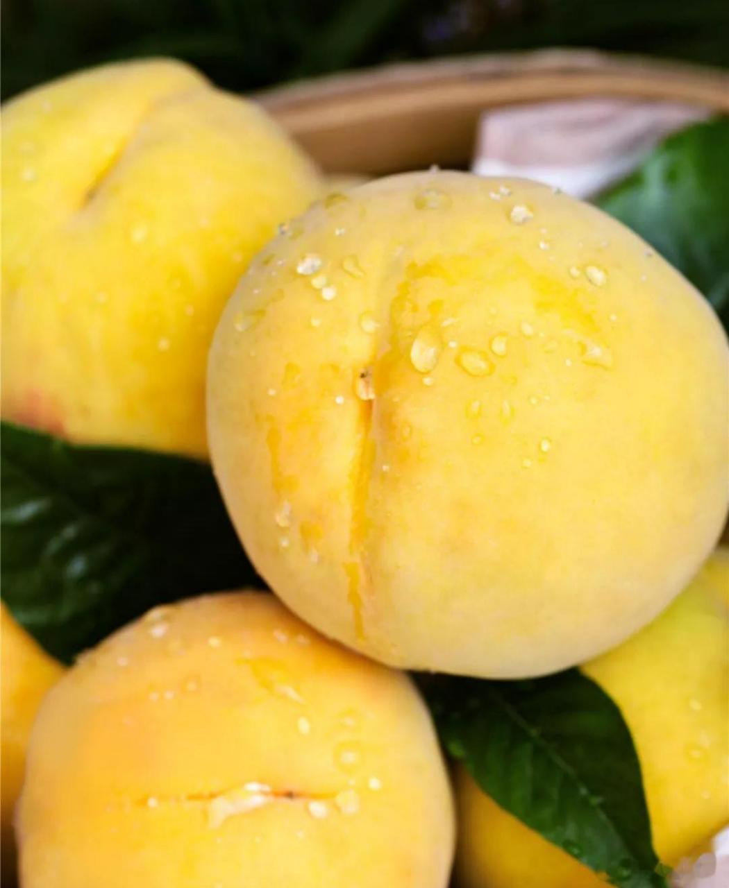 大妈的精选  『山东蒙阴黄金蜜1号 毛桃 黄毛桃 收到硬放软可扒皮吃