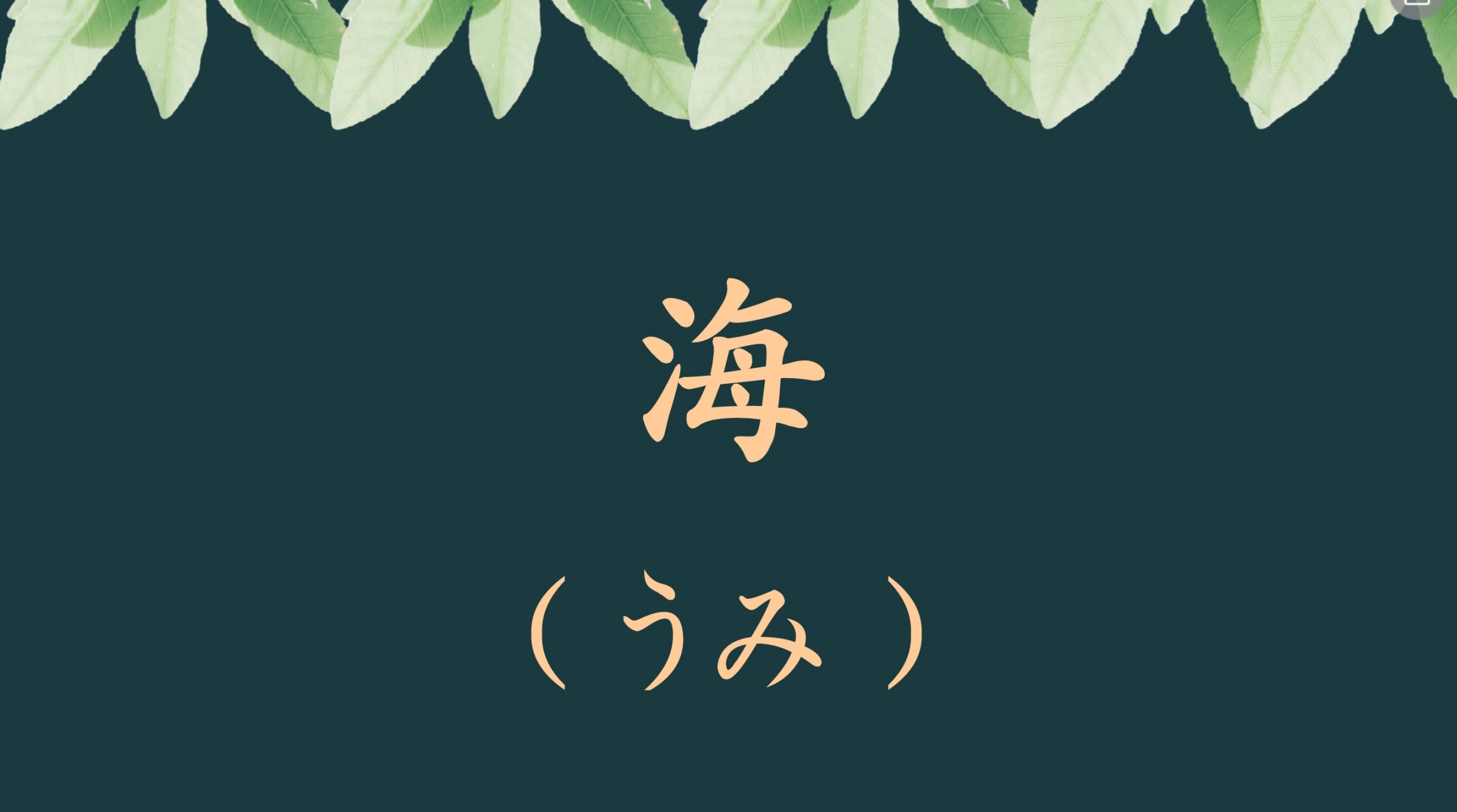 大海,用日语怎么说?