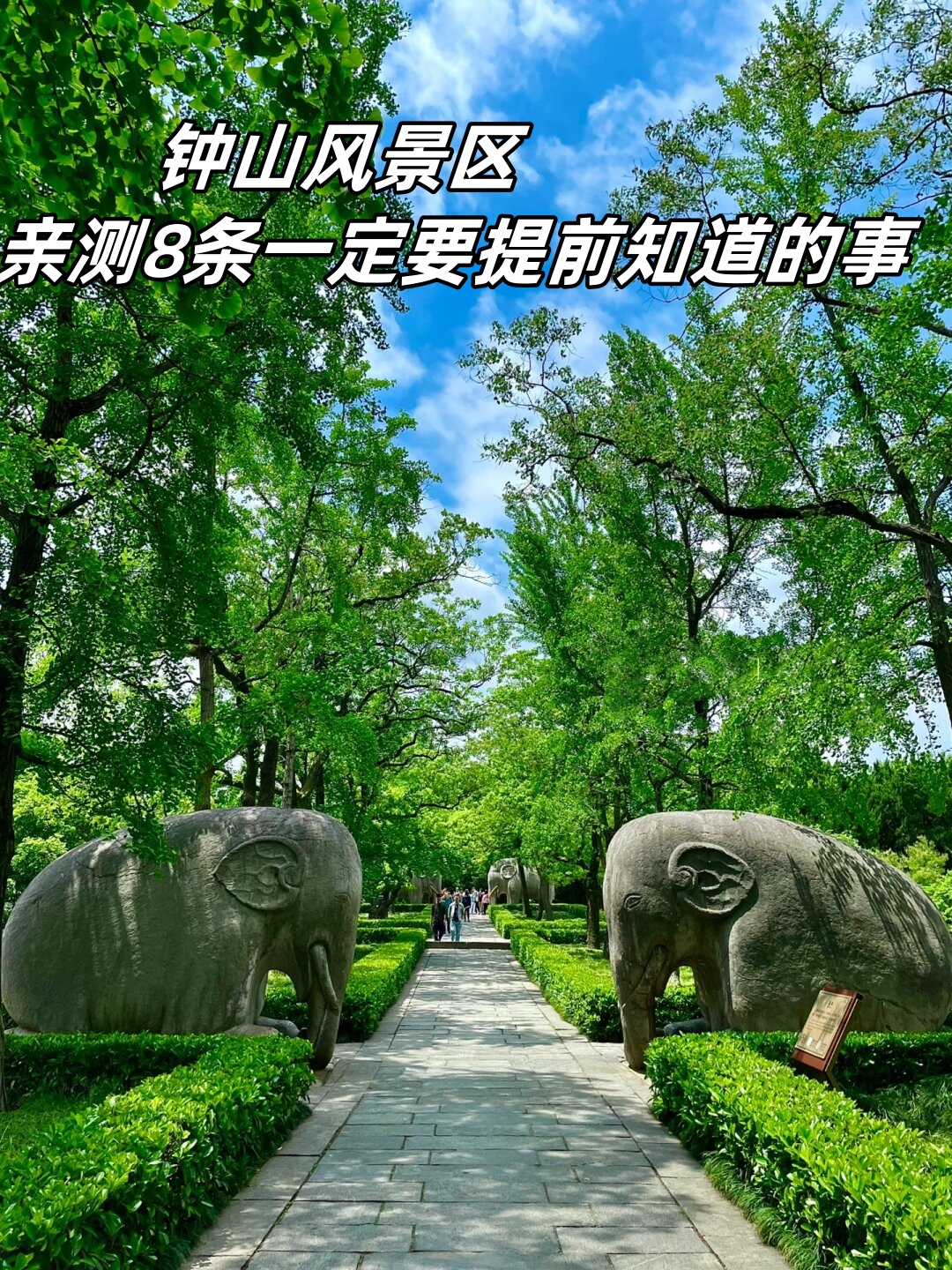 钟山风景区亲测8条一定要提前知道的事