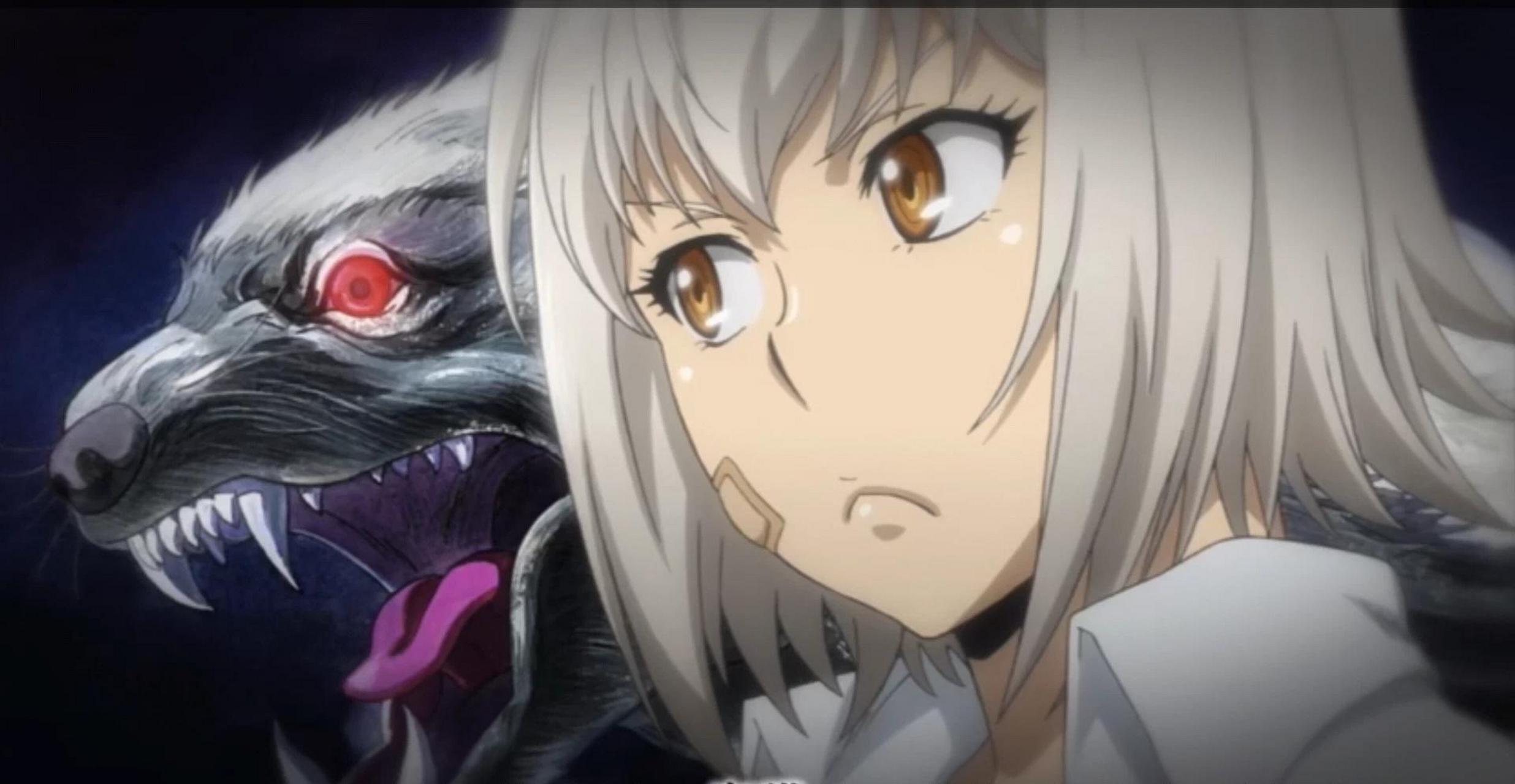 gif创作人# 《牙斗兽娘》一月新番这部动漫福利真多,根本停不下来