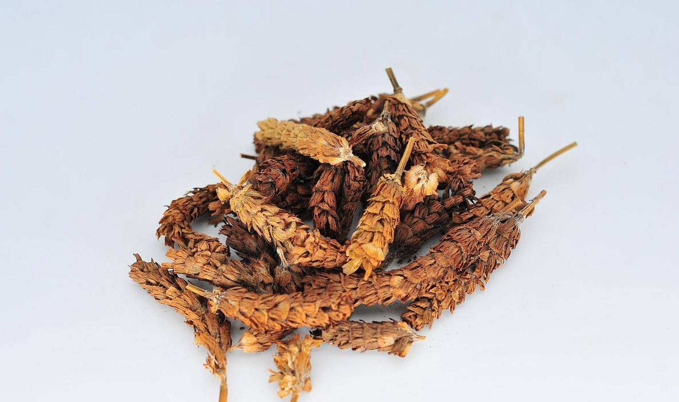 巧用路边草,帮助散结  巧用路边草,帮助散结,用我治疗过的一个案例来