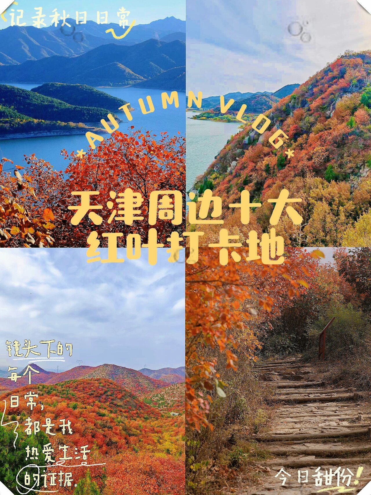 强推天津周边十大红叶打卡地 错过等一年