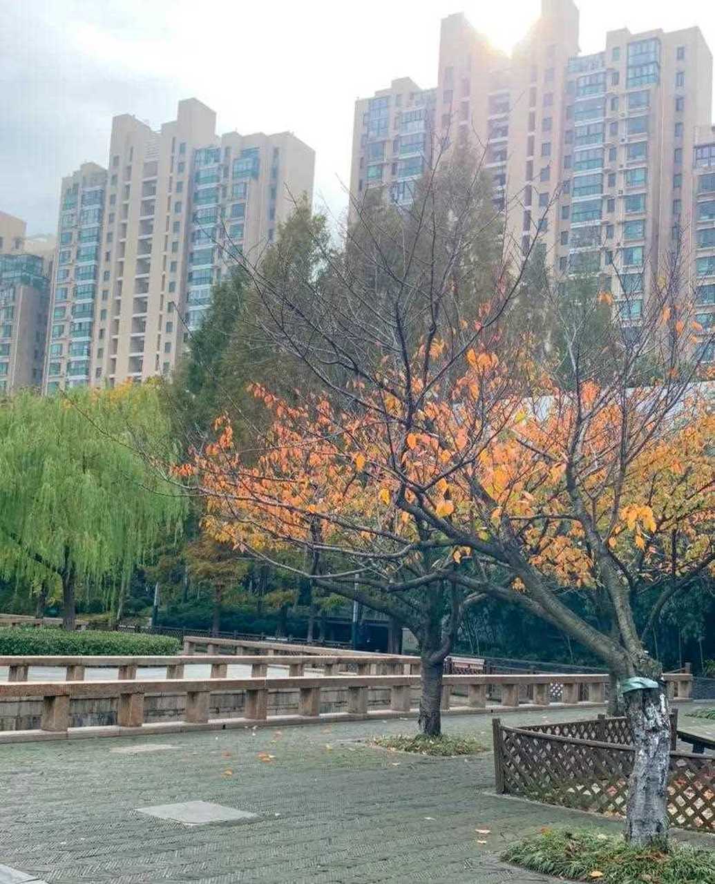 [阴险] 行走中的美景,北菁园美景随手拍.