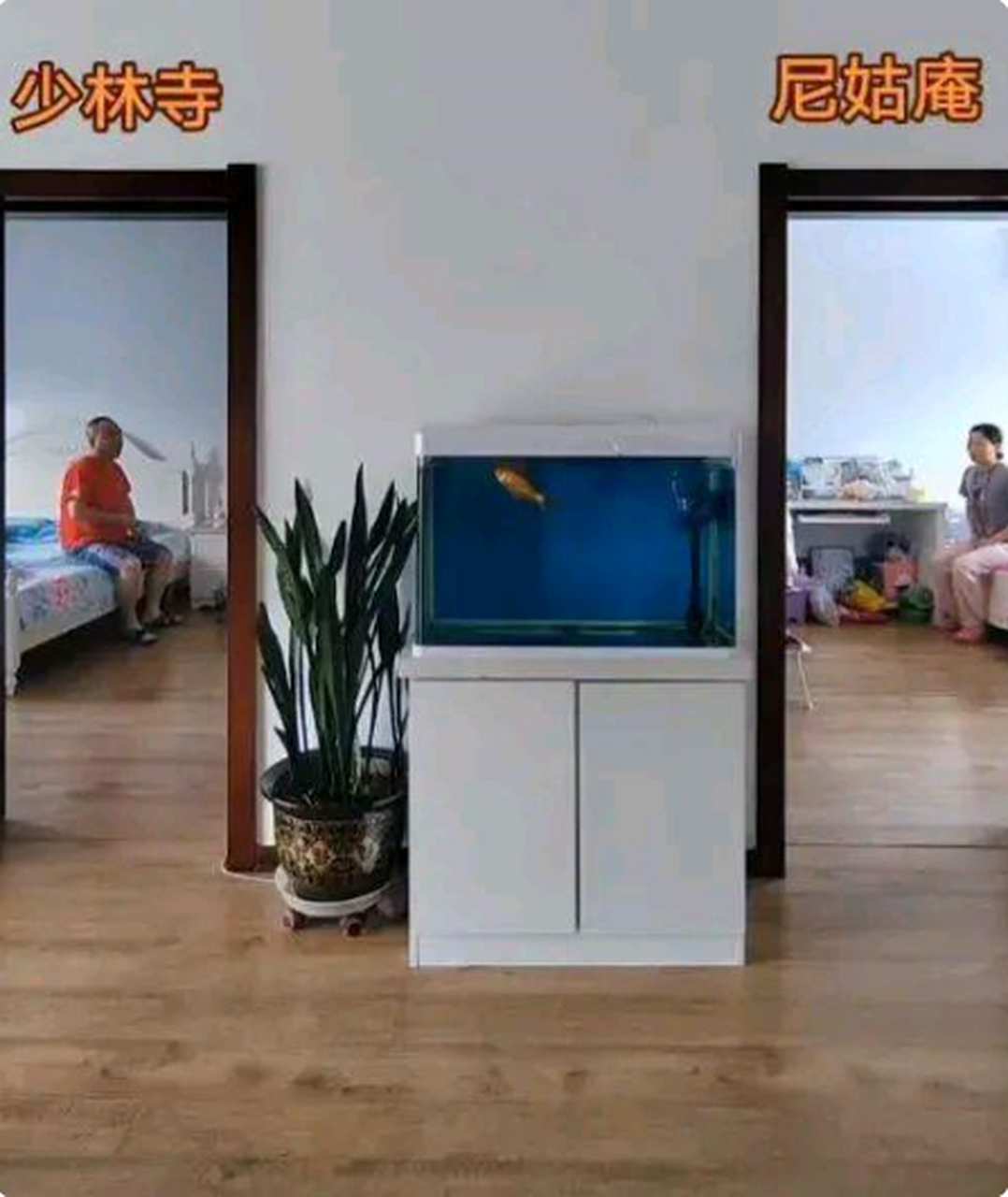 人到中年不得已