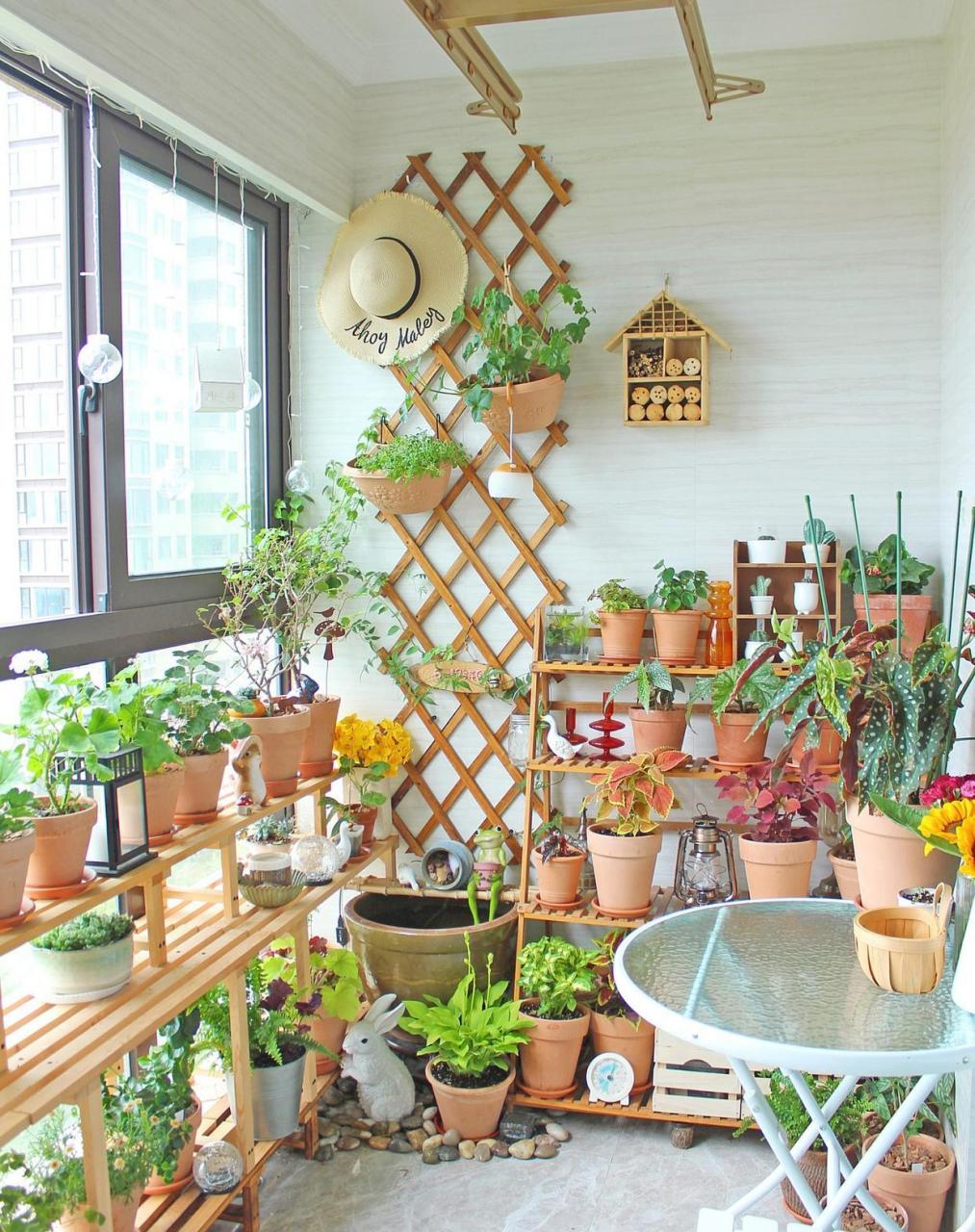 阳台花架合集,封闭阳台花园布置方法分享 [点亮平安灯]最近太多朋友问