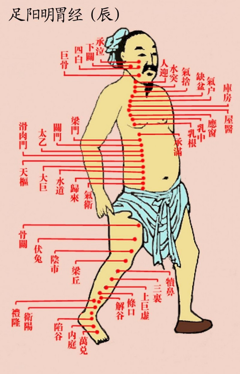 人体有八个大窝又称八虚,它们是双腋,双肘,双髀(即两胯)和双腘.