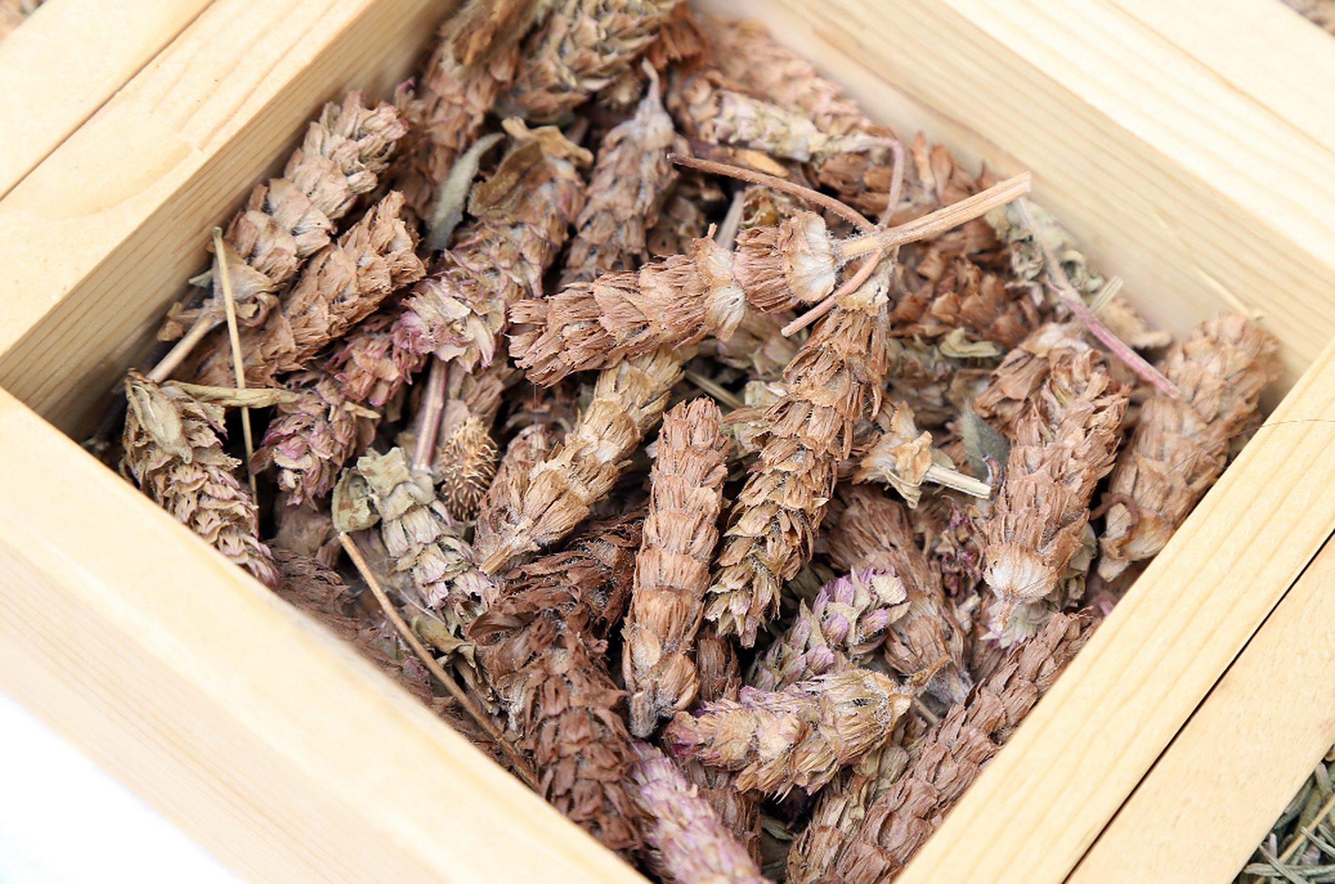 清肝胆,消结节,夏季神药——夏枯草  夏季高温多雨,不仅容易上火,还