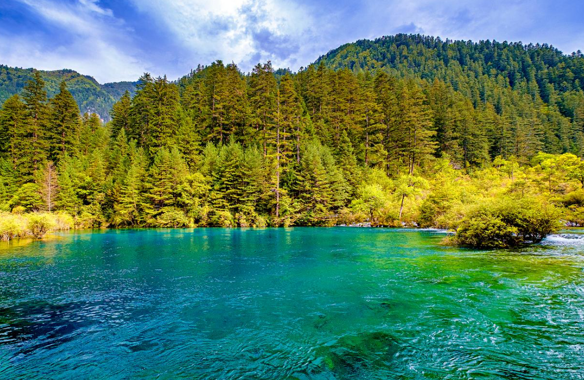 九寨沟堪称"人间仙境",带你领略九寨沟全景风光!