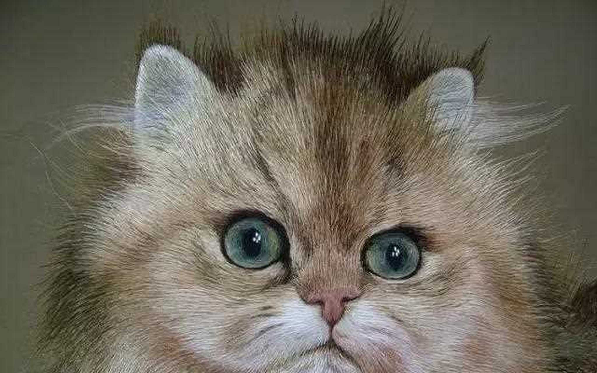 杭绣手艺人陈水琴,自14岁开始,研习刺绣,每天刺绣时间,长达10小时