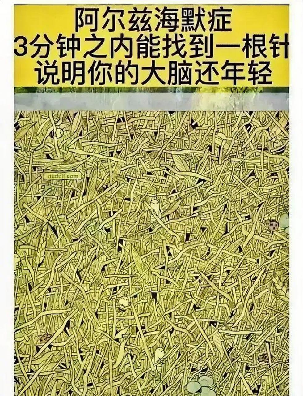 老年痴呆侧视图图片