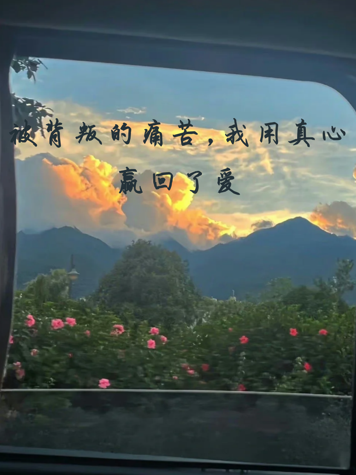 "被背叛的痛苦,我用真心赢回了爱  爱情中的背叛是一种深刻的痛苦,它