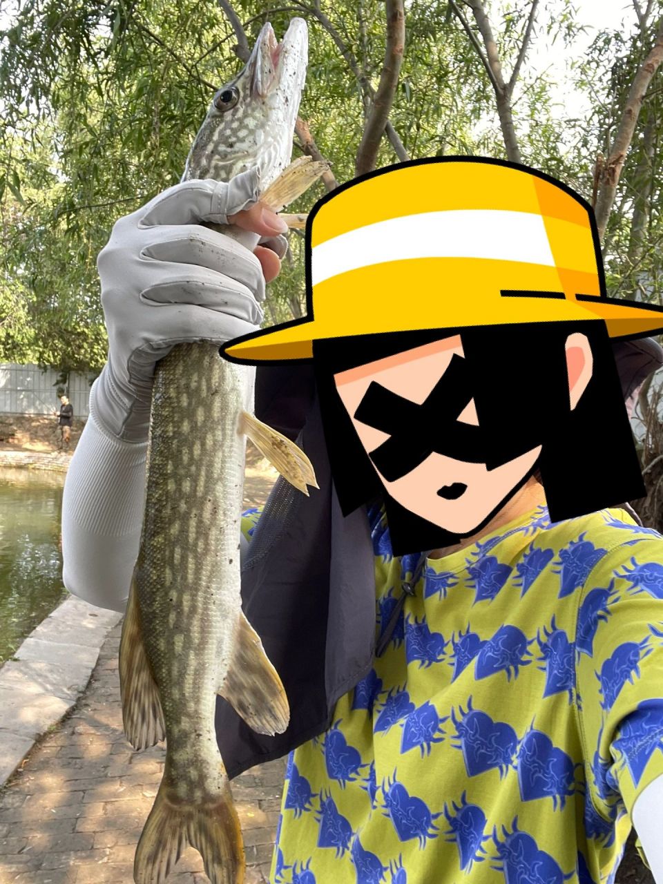 没想到入夏了还能钓到狗鱼, wacky挂面条虫 插铅意外解锁狗鱼, 真是