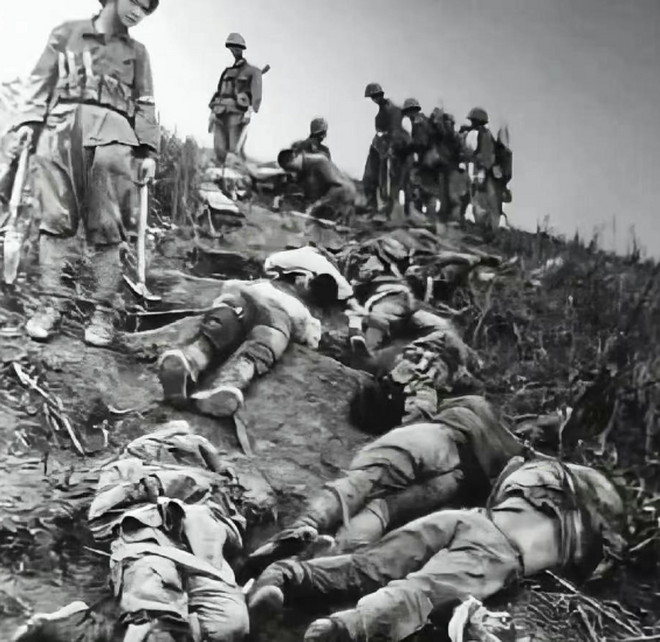 老山轮战的越南战场,看上去真残忍