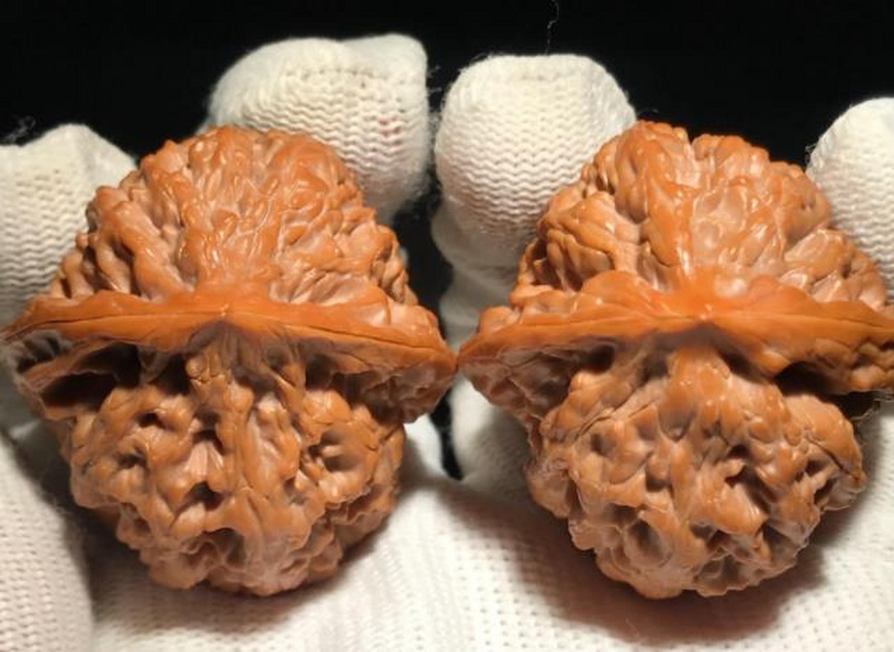 文玩核桃##点击头像看直播#  野牛狮子头核桃又称窝底狮子头,因嗡它