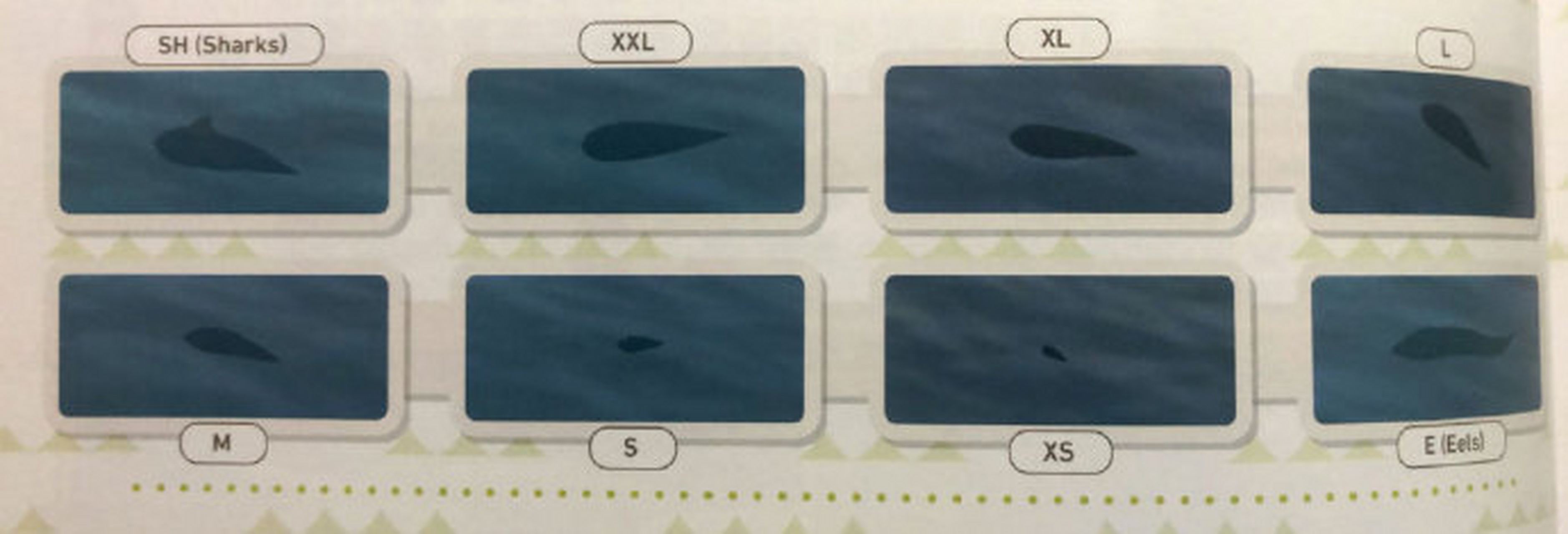 集合啦动物森友会#  鱼影大小看尺寸参考