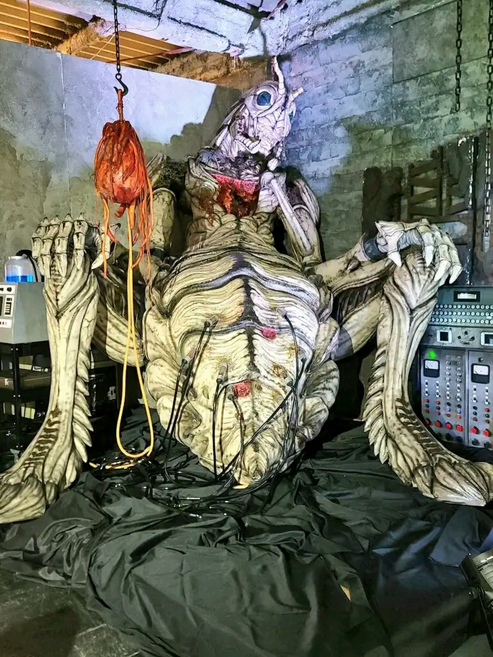 假面骑士创世王咋还怀孕了呢?