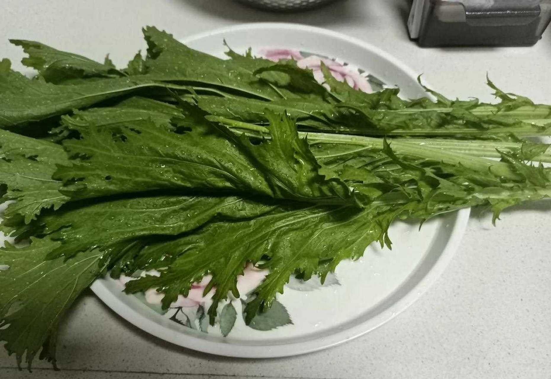 傍晚淋菜,折了几叶鸡冠芥菜明儿煮汤吃,看到邻家菜地一棵树,一问才知