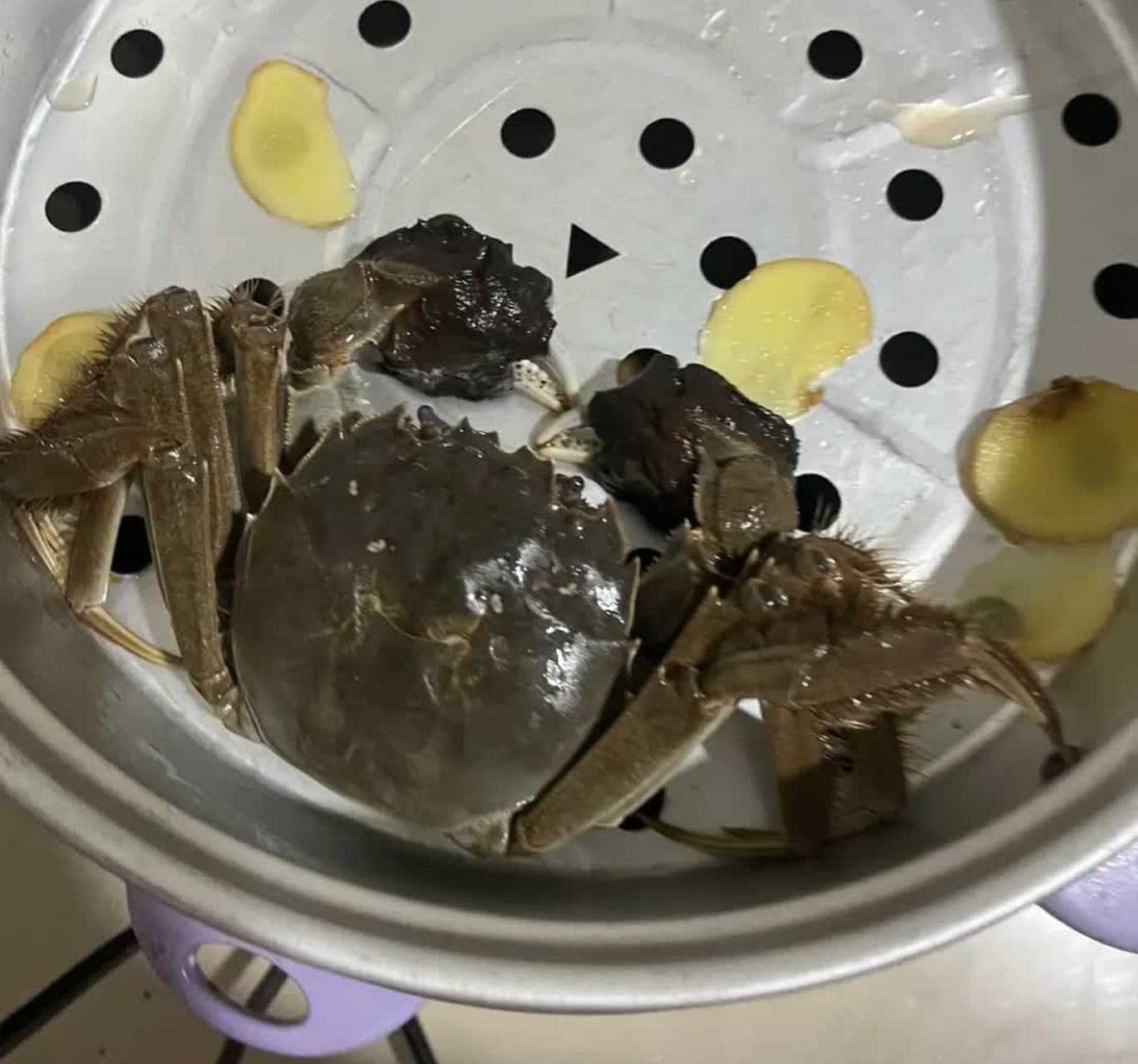 下班回家的路上捡到一只大螃蟹,好香啊![大笑]#搞笑